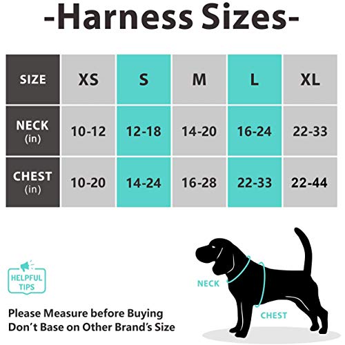 PoyPet No Pull Dog Harness, [Release on Neck] Reflective Adjustable No Choke Pet Vest with Front & Back 2 Leash Attachments, Soft Control Training Handle for Small Medium Large Dogs(Purple,S)