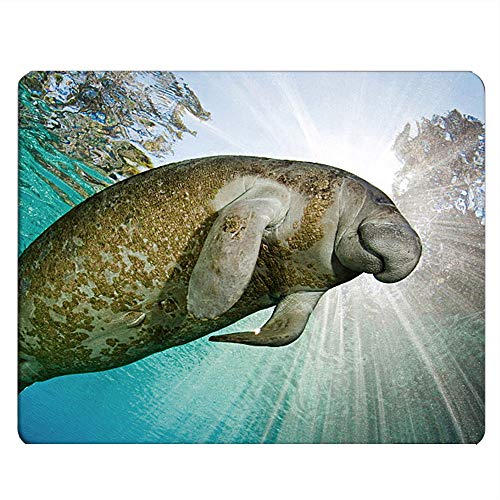 Nicokee Manatee Gaming Mousepad The Smile of Cute Manatee Mouse Pad Mouse Mat for Computer Desk Laptop Office 9.5 X 7.9 Inch Non-Slip Rubber