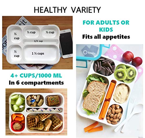 Bento Lunch Box Kids & Adult: Leakproof Containers for Boys & Girls with 6 Compartments - School, Daycare, Meal Planning Portion Control Container, BPA-Free Boxes, Utensils, Blue & Pink Set