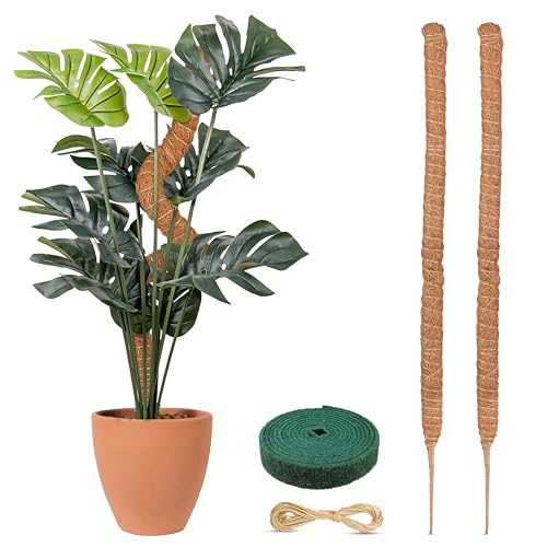 EcoNour Moss Pole for Plants – 25 inches (4 Pack) | Monstera Plant Support for Plant Climbing and Growth | Elevate Your Indoor Garden, Plant Support for Indoor Potted Plants to Grow Upwards