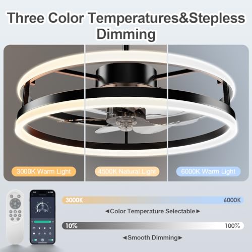 STROLITE Fandelier Ceiling Fans with Lights and Remote, 19.7inch Modern Bedroom Ceiling Fan(6 Speed&Timing), 3000K-6000K Dimmable LED Light, Smart Ceiling Fan with Light for Kitchen (Black)
