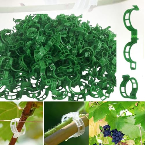 Plant Support Clips,100/150/300 PCS Plant Clips for Climbing Plants Clear Plant Clips,Garden Clips Plant Support Clips Plant Clips Plant Support Garden Clips Vine Fixing Clip for Plants (Green-100pcs)