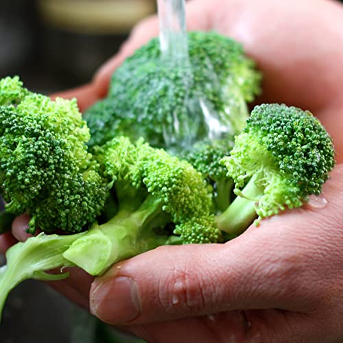 Organic Broccoli Seeds (Waltham 29) - Approx 750 Seeds - USDA Organic, Non-GMO, Open Pollinated, Heirloom, USA Origin