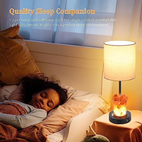 Dott Arts Touch Table Lamps with USB Ports, 3-Way Dimmable Bedside Nightstand Lamp with Salt Lamp,Table Lamps for Living Room Bedrooms Reading Room,Bulbs Included