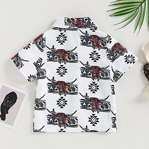 Kayotuas Western Baby Boy Clothes Cowboy Shirt Romper Long/Short Sleeve Button Down Onesie Bodysuit Infant Gentleman Outfits (Short Sleeve-White Highland Cow, 3-6 Months)