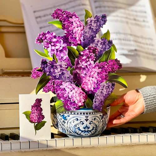 Freshcut Paper Pop Up Cards, Paper Flower Bouquet 3D Popup Greeting Cards with Note Card & Envelope, Birthday Card, Anniversary Card, Get Well Gifts for Women,12" French Blooms