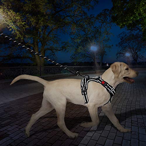 PoyPet No Pull Dog Harness and 5 Feet Leash Set, Release on Neck Reflective Adjustable Pet Vest, Front & Back 2 D-Ring and Soft Padded Pet Harness with Handle for Small to Large Dogs(Tumalo Teal,M)