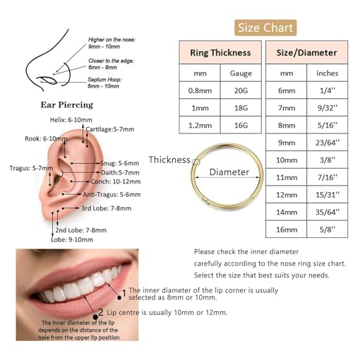 Lantine 5 Pcs 6mm Small Nose Rings Hoops for Women Set 316L Surgical Steel Septum Rings Rook Daith Tragus Piercing Jewelry Hinged Cartilage Gold Hoop Earrings 20G