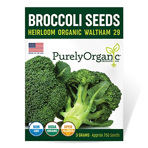 Organic Broccoli Seeds (Waltham 29) - Approx 750 Seeds - USDA Organic, Non-GMO, Open Pollinated, Heirloom, USA Origin