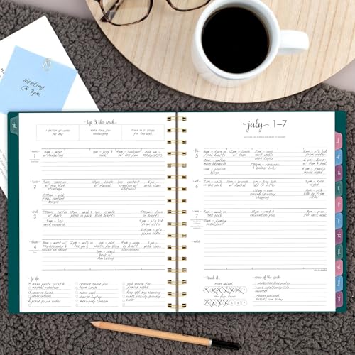 AT-A-GLANCE Planner 2024-2025 Academic, Weekly & Monthly, 7" x 8-3/4", Medium, Monthly Tabs, Flexible Cover, Harmony, Palm (1099-805A-60)