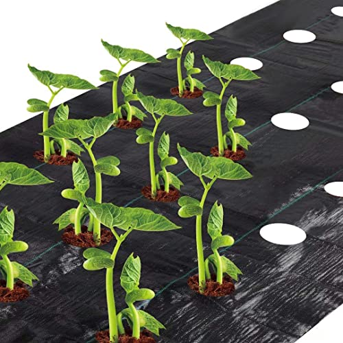 Agfabric Weed Barrier Landscape Fabric 4x6ft with Planting Holes, Hole Diameter 3", Hole Spacing 6", Row Spacing8 on Center