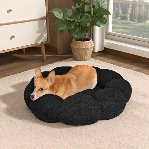 WESTERN HOME WH Calming Cat Beds for Indoor Cats-Fluffy Flower Cat&Dog Bed in Plush Teddy Sherpa, Round Donut Cuddler Puppy Bed, Non-Slip Machine Washable Pet Bed Fits up to 15 lbs, Black 20"