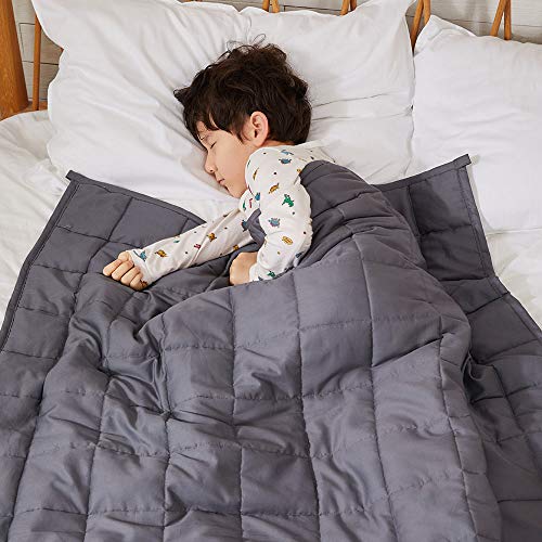 ZonLi Weighted Blanke t(80''x87'', 20lbs, King Size, Dark Grey), Weighted Blanket for Adults, High Breathability Heavy Blanket, Soft Material with Premium Glass Beads