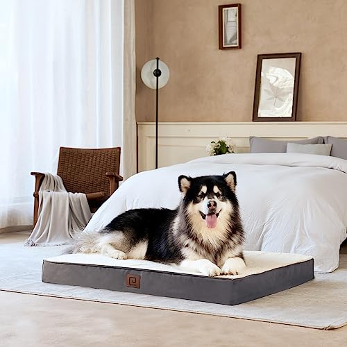 EHEYCIGA Orthopedic Dog Beds for Large Dogs with Removable Washable Cover for Crate, Beige, 35x23