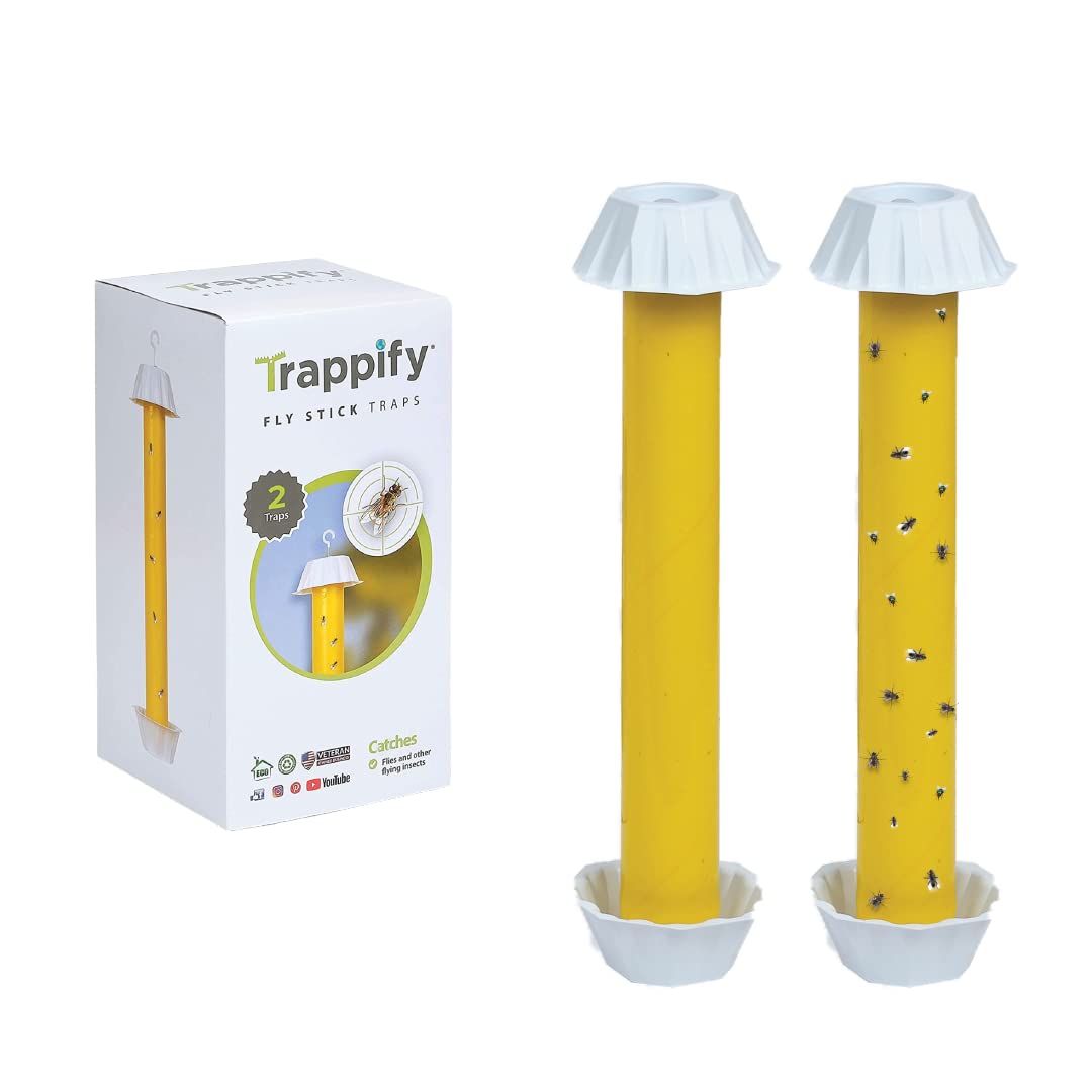 Trappify Hanging Fly Traps Outdoor: Fruit Fly Traps for Indoors | Gnat Traps for House Indoor | Fly Trap Indoor - Disposable Sticky Fly Trap for Indoor House Pest Control (2 Pack)