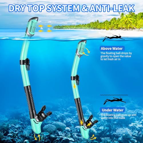 WHOHOLL Snorkeling Gear for Adults, Anti-Fog and Anti-Leak Dry Snorkel Set, 180°Panoramic Wide View Diving Mask Snorkel Kit for Snorkeling Scuba Diving Swimming Travel