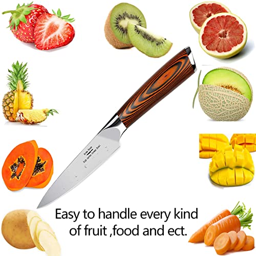 Aroma House Paring Knife 4 inch - Paring Knives Best Small Kitchen Knife Fruit Knife,German High Carbon Stainless Steel Ultra Sharp Peeling Knife with Ergonomic Handle