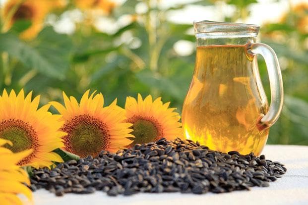 Healthy Harvest Non-GMO Sunflower Oil - Healthy Cooking Oil for Cooking, Baking, Frying & More - Naturally Processed to Retain Natural Antioxidants (One Gallon)