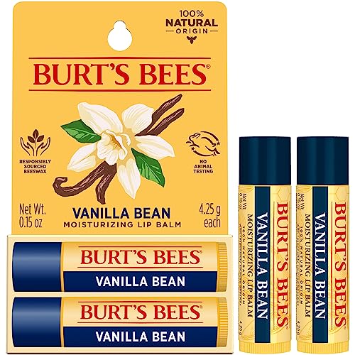 Burt's Bees Lip Balm Stocking Stuffers, Moisturizing Lip Care Christmas Gifts, Vanilla Bean, Lip Moisturizer With Responsibly Sourced Beeswax, Tint-Free, Natural Origin Treatment (2-Pack)