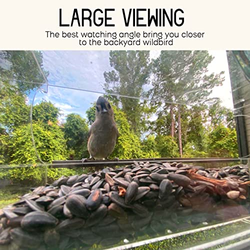 MrCrafts Window Bird Feeder for Outside with Strong Suction Cups, Fits for Cardinals, Finches, Chickadees etc