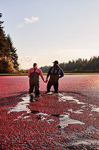 Ocean Spray® Diet Cranberry Juice Drink, 64 Fl Oz Bottle