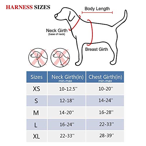 PoyPet No Pull Dog Harness, No Choke Reflective Dog Vest, Adjustable Pet Harnesses with Easy Control Padded Handle for Small Medium Large Dogs(Tumalo Teal,S)