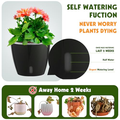 KvyusFlourish Self Watering Pots for Indoor Plants, 6-Pack 6.7'' Self Watering Planter with Drainage Holes, Small African Violet Pots with Water Indicator, Clear Wick Orchid Pot, White