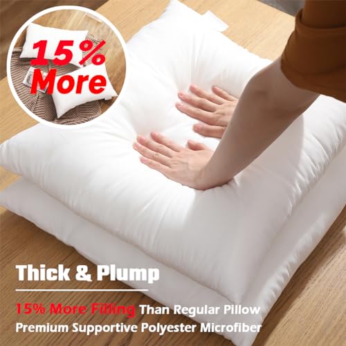 JOJOGOGO 12x20 Outdoor Lumbar Pillow Insert Waterproof Set of 4 Outdoor Lumbar Pillows for Patio Furniture Garden Swing and Front Porch