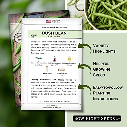 Sow Right Seeds - Contender Bush Green Bean Seeds for Planting - Non-GMO Heirloom Seed Packet - Stringless Variety to Plant an Outdoor Home Vegetable Garden - Abundant Harvest, Great for Kids (1)