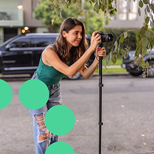 JOBY Compact Monopod 2-in-1, Camera/Action Cam with Ball Head, Universal ¼-20” Mount, Swivel Mount Compatible with GoPro, DSLR, Mirrorless Camera, Colour: Black