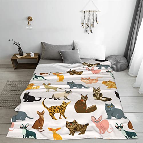 Cute Cat Cartoon Kitten Throw Blanket Soft Bed Blankets Lightweight Cozy Plush Flannel Fleece Blanket for Sofa Couch Bedroom 50"X40"