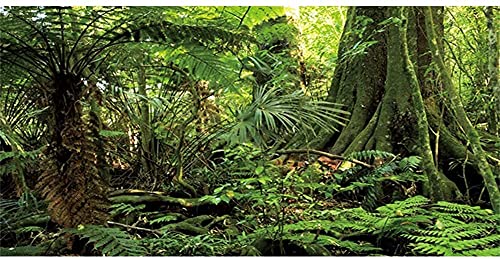 AWERT 72x16 inches Forest Terrarium Background Stone Green Huge Tree Reptile Habitat Background Tropical Rainforest Aquarium Background Polyester Background