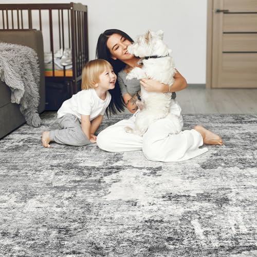 DMOYEST Living Room Area Rugs - 5x7 Abstract Large Soft Indoor Washable Rug Neutral Modern Low Pile Carpet for Bedroom Dining Room Farmhouse Home Office - Grey