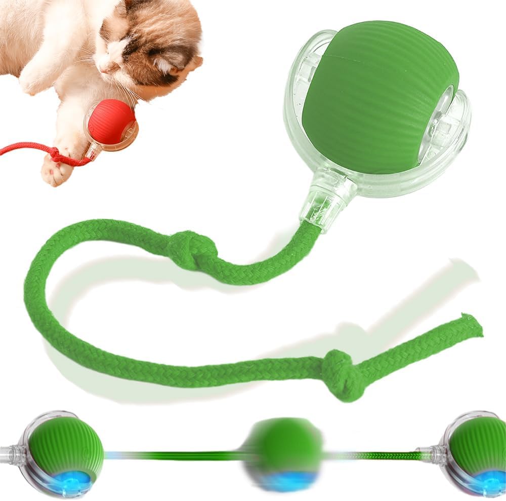 Interactive Rolling Dog Ball, 2024 New Self Rolling Dog Ball Interactive Cat Toys Automatic Cat Toy Self Moving Dog Toys, 360° Smart Automatic Rolling Ball Toy Electric Dog Balls for Dog/Cat (Green)