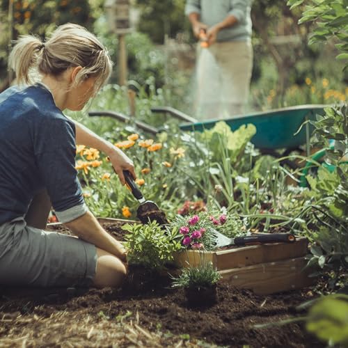 Fiskars 315510-1001 Xact Hand Garden Cultivator, Black/Slivler