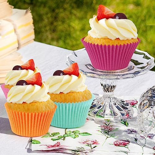 Caperci Rainbow Standard Cupcake Liners Bright Colorful Muffin Baking Cups 350-Count, Odorless, Upgraded & Food Grade Grease-Proof Paper