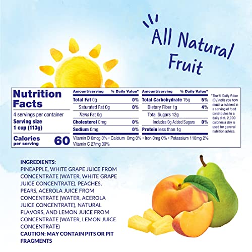 Dole Fruit Bowls Mixed Fruit in 100% Juice Snacks, 4oz 24 Total Cups, Gluten & Dairy Free, Bulk Lunch Snacks for Kids & Adults