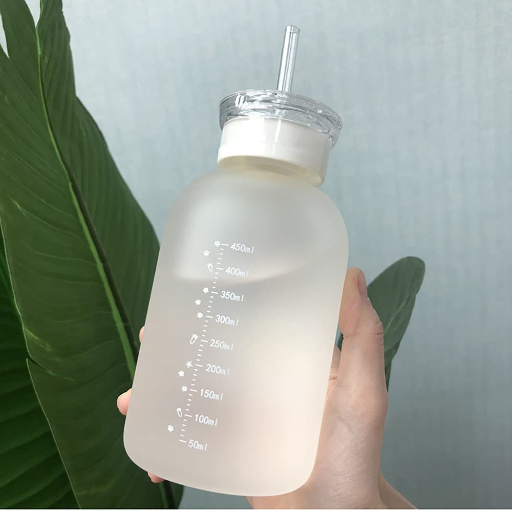 JZSMY 480ml Milk Juice Cute Water Bottle with Scale 2 Lids Little daisy Matte Portable Transparent Water Cup Glass Bottles Creative Handy Cup (1Pcs Six Flowers)