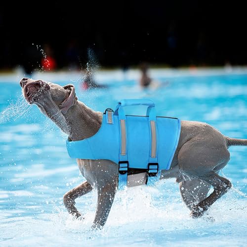 Queenmore Dog Life Jacket, XS Dog Life Vest,High Floating Pet Life Vest for Swimming,Lightweight Adjustable Puppy Life Preserver for Boating,Dog Water Vest with Back Zip,Rescue Handle,Hook (Blue XS)