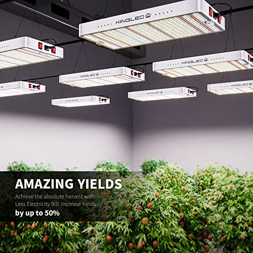 KingLED 2024 Newest KP1000 LED Grow Lights with Yield LEDs 2x2ft Coverage Full Spectrum Grow Lights for Indoor Hydroponic Plants Greenhouse Growing Lamps Veg Bloom Daul Mode