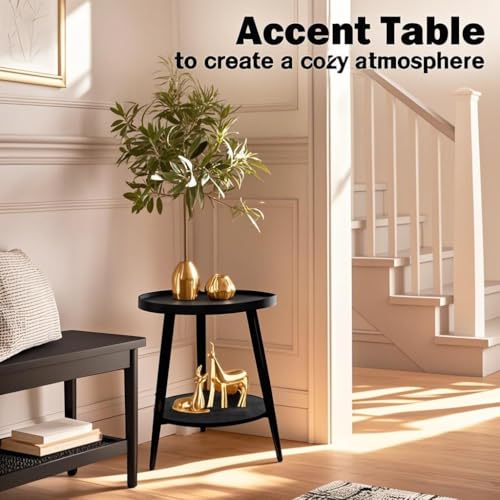 FANTERSI Small Round Side Table, 2-Tier Mid Century Modern Side Table, Round End Table Small Side Table for Living Room, Metal Frames, Black