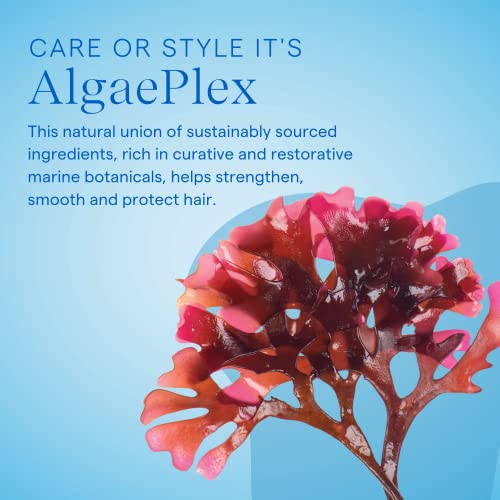 AQUAGE. Healing Conditioner – Contains AlgaePlex Marine Botanicals to Moisturize and Repair Dry or Damaged Hair and Build Strength from the Inside Out, 33.8 oz