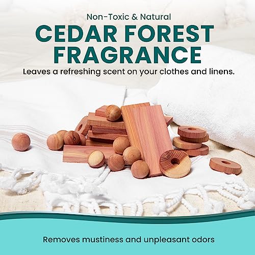 50 Cedar Balls for Clothes - Fresh Cedar Smell for Closets and Drawers - Protection for Clothes - Cedar Closet Freshener & Protects Clothes - Wood Block for Clothes, Closet and Drawer