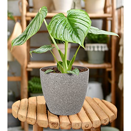 Vanavazon Plant Pots 9/8/7 Inch Set of 3 Flower Pots Indoor Outdoor Plastic Planters with Drainage Hole and Tray (Speckled Beige)