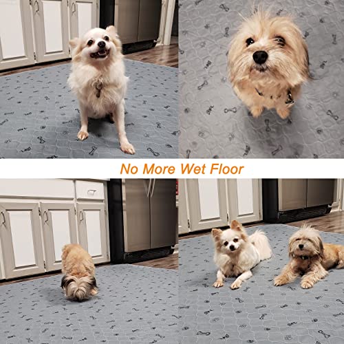 2Pack Puppy Pads Washable, 48x48 Reusable Pee Pads for Dogs, Absorbent Whelping Pads Waterproof Dog Rug Non-Slip Protector for Housbreaking,Potty Training,Bed Couch Carpet