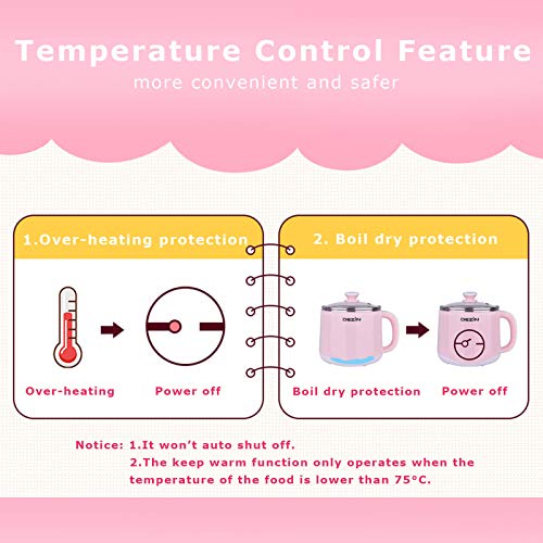 Dezin Hot Pot Electric, Rapid Noodles Cooker, Stainless Steel Electric Pot 1.6 Liter, Perfect for Ramen, Egg, Pasta, Dumpling, Soup, Porridge, Oatmeal with Temperature Control and Keep Warm Function