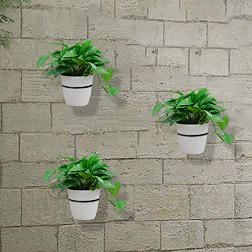Plant Wall Hanger 4 inch Hanging Plant Stand 6 Pack Metal Planter Hooks Wall Mounted hangers,Flower Plant Pot Holder Ring for Outdoor/Indoor