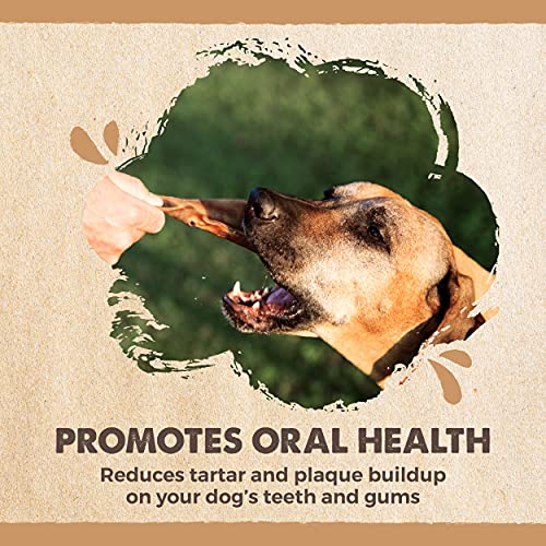 Mighty Paw Full Pig Ears for Dogs | All Natural Dog Treats. Single Ingredient Pig Ear Dog Treats. Better Than Rawhide Dog Snacks for Puppy and Large/Medium Dogs. Pigs Ears Dog Chews, Dog Pig Ears