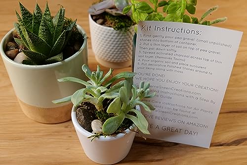 TerraGreen Creations Succulent Planter Kit - Terrarium Kit with Succulent Soil, Gravel, Pebble, Moss,
