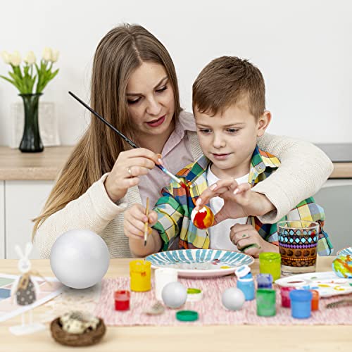 47PCS Solar System Model Foam Ball Kit Includes 10 Sizes Polystyrene Spheres Balls, Bamboo Sticks, Blank Toothpick Flags, Brushes, Paint Tray Palette for School Science Projects